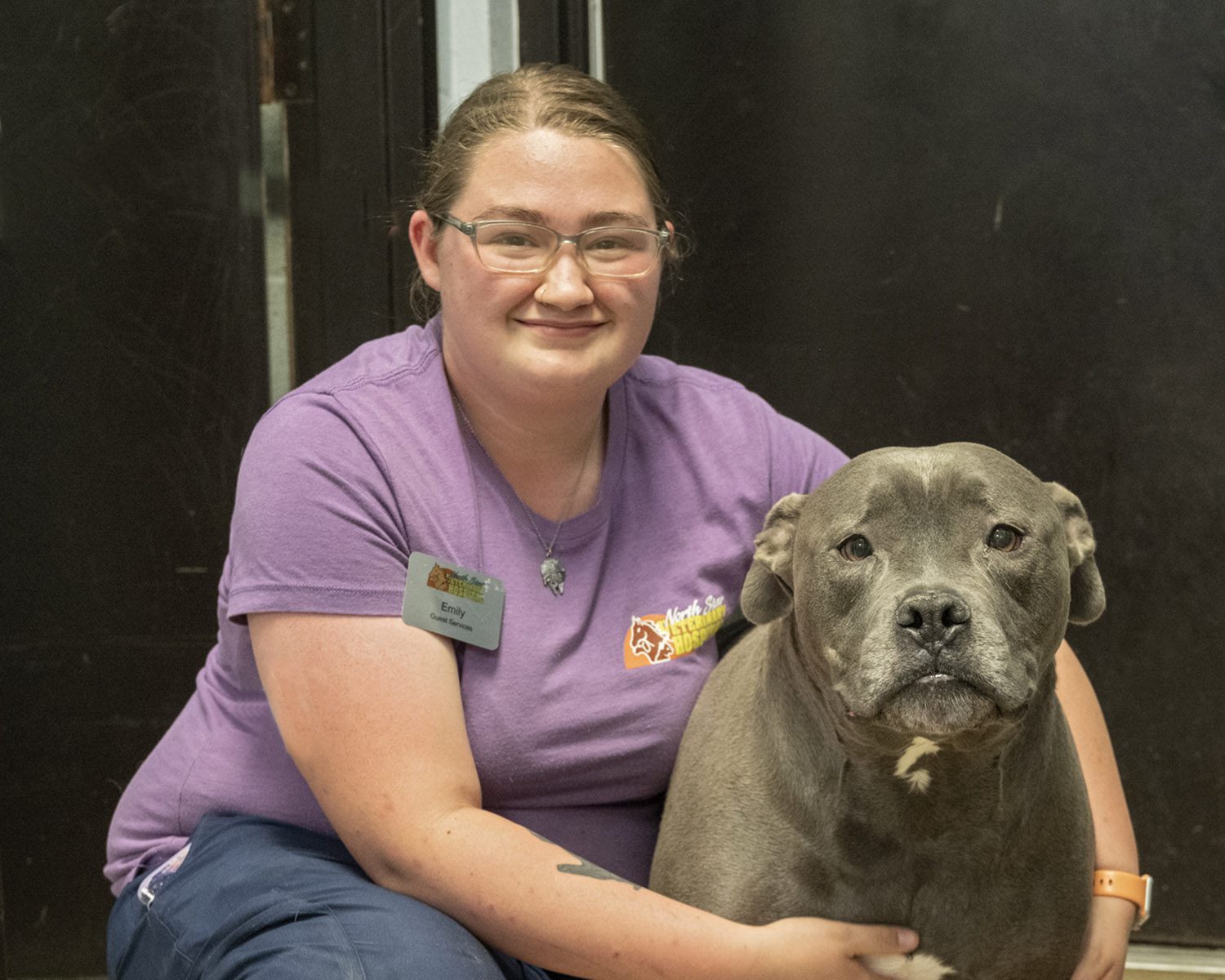 Photos - North Star Veterinary Hospital