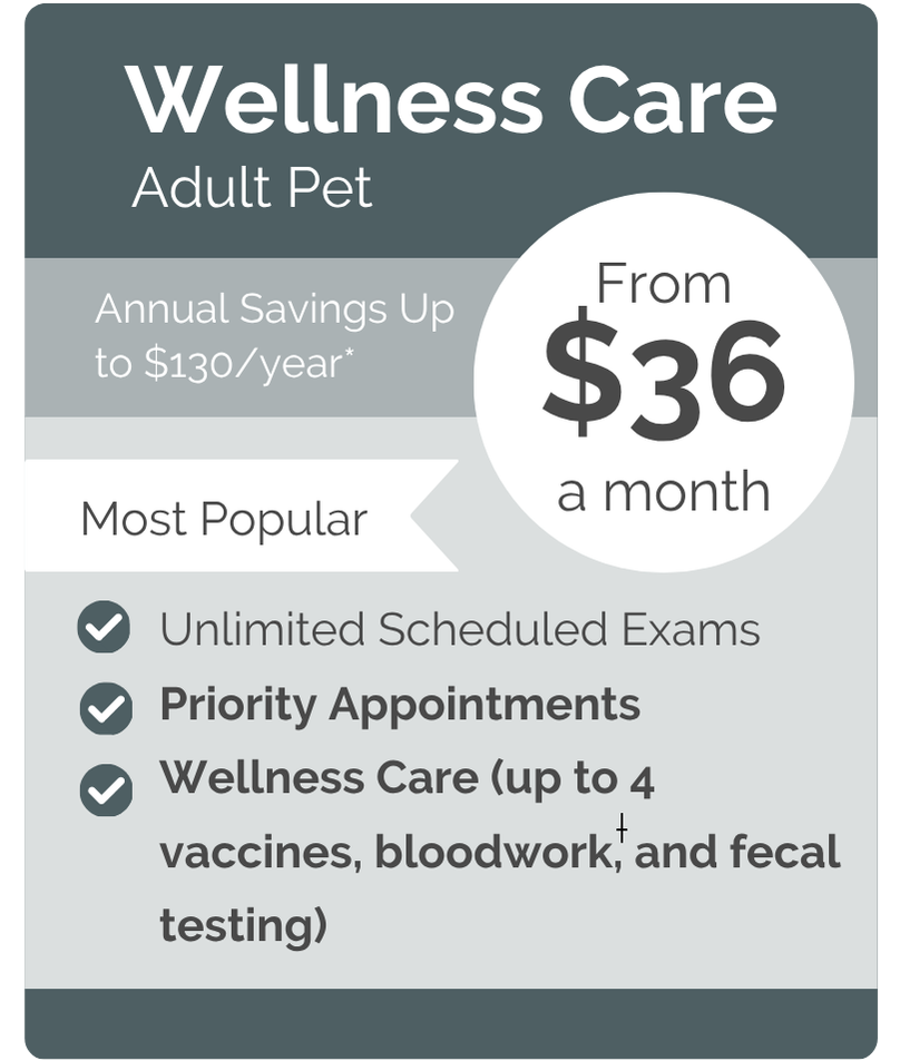 North Star VIPet Plan_pricing_Wellness_Modern